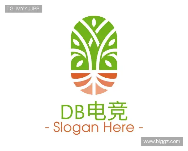 认识DB电竞