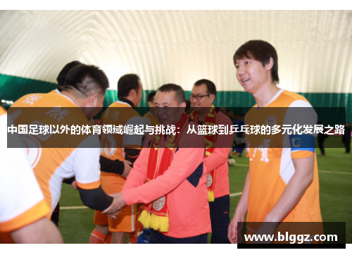 中国足球以外的体育领域崛起与挑战：从篮球到乒乓球的多元化发展之路
