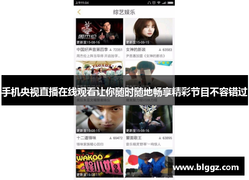 手机央视直播在线观看让你随时随地畅享精彩节目不容错过