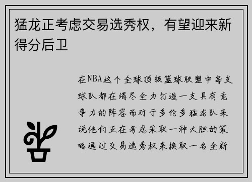 猛龙正考虑交易选秀权，有望迎来新得分后卫